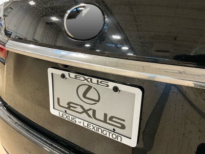 2020 Lexus RX 350 RX 350