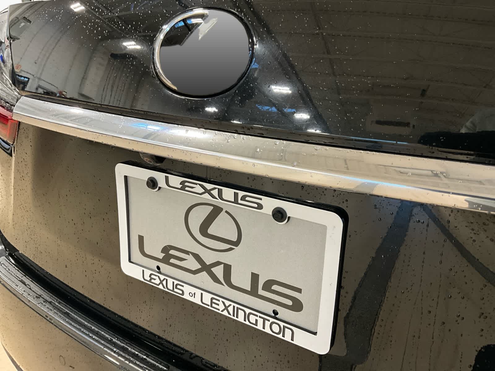 2020 Lexus RX 350 RX 350