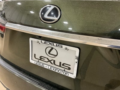 2022 Lexus RX 350 RX 350