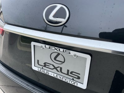 2022 Lexus RX 350 RX 350