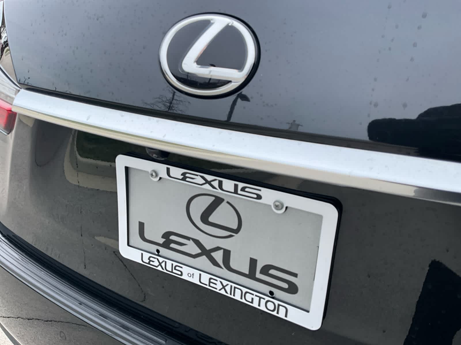 2022 Lexus RX 350 RX 350