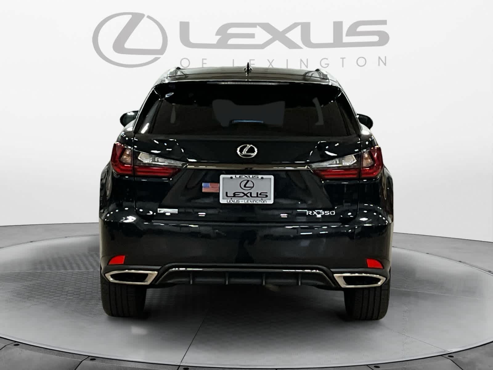 2022 Lexus RX F SPORT Appearance
