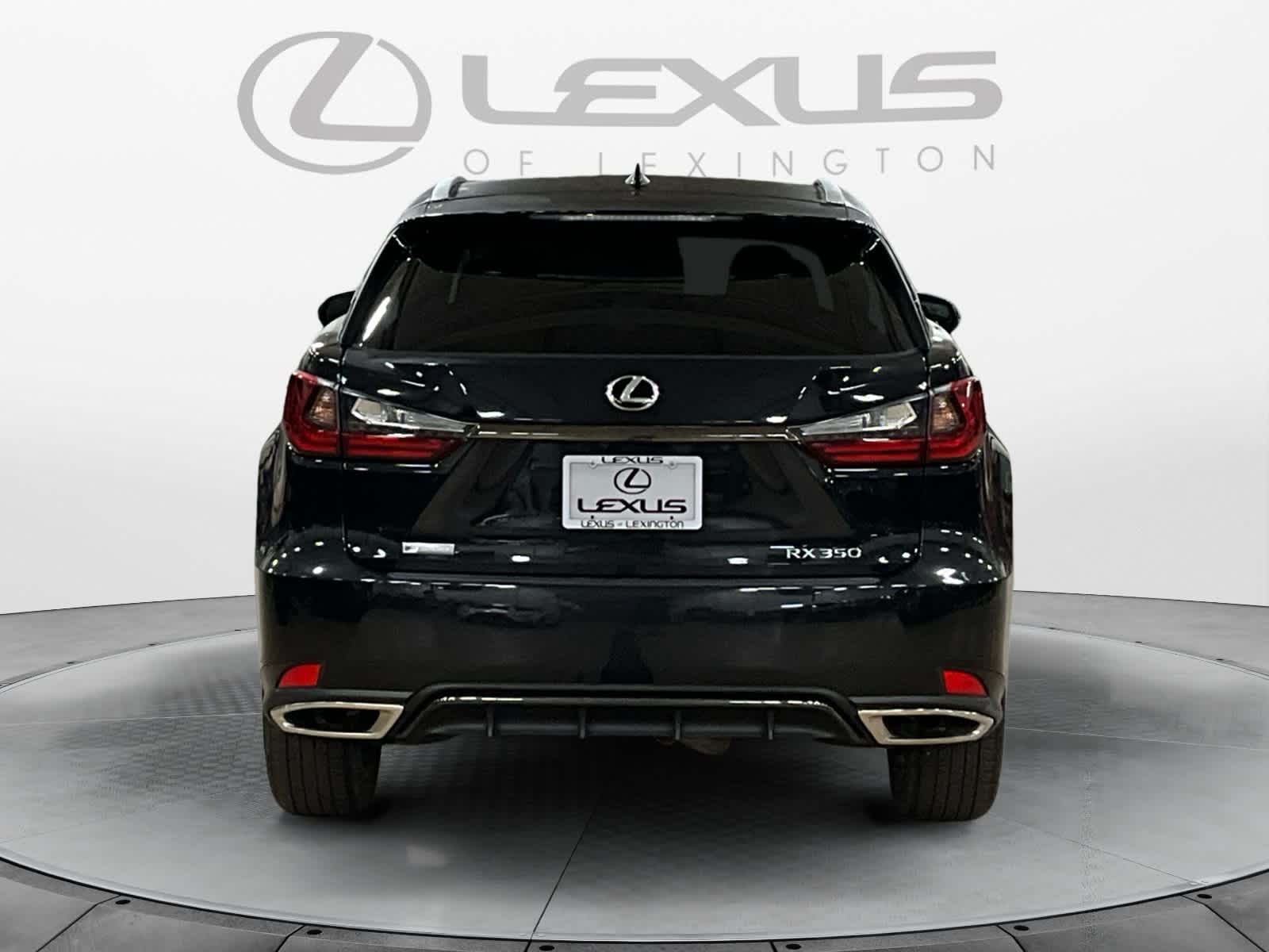 2022 Lexus RX 350 F SPORT Appearance