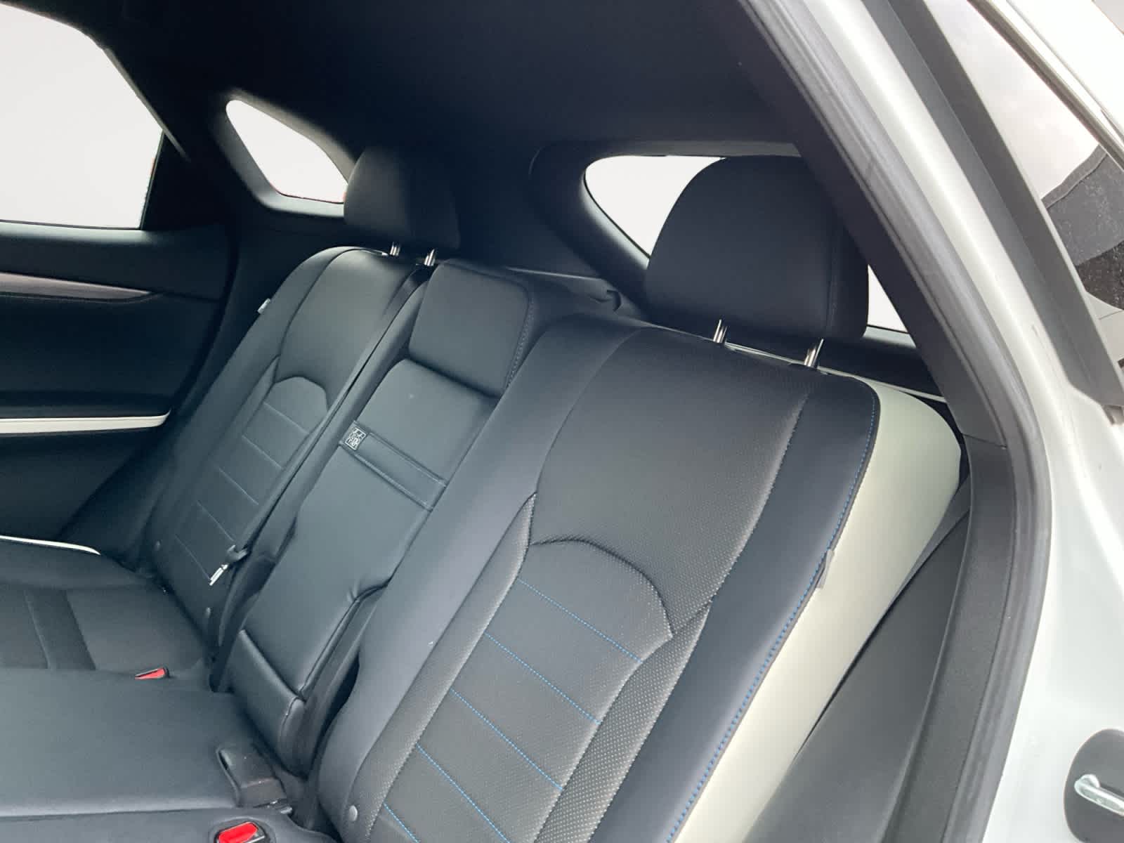 2021 Lexus RX F SPORT Appearance