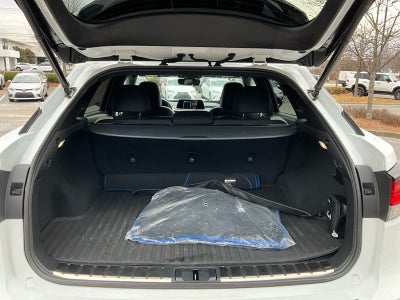 2021 Lexus RX F SPORT Appearance