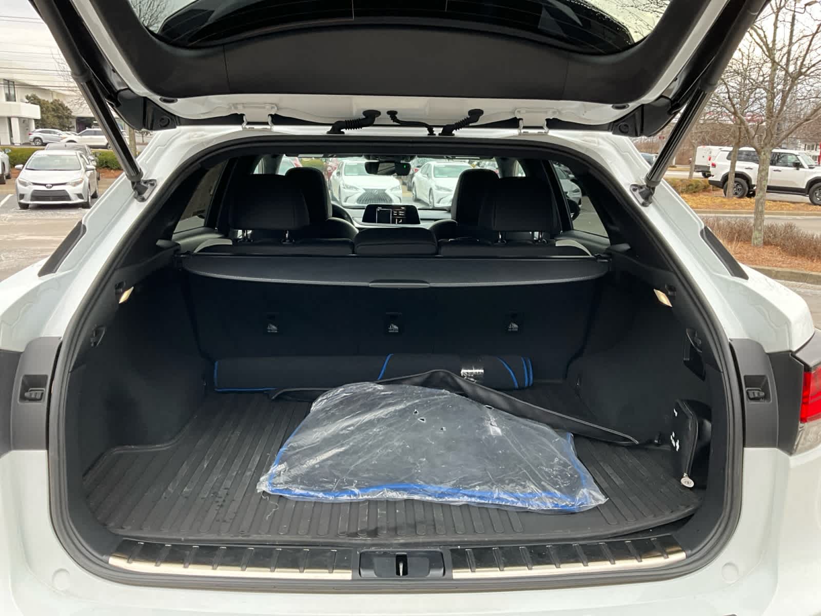 2021 Lexus RX F SPORT Appearance