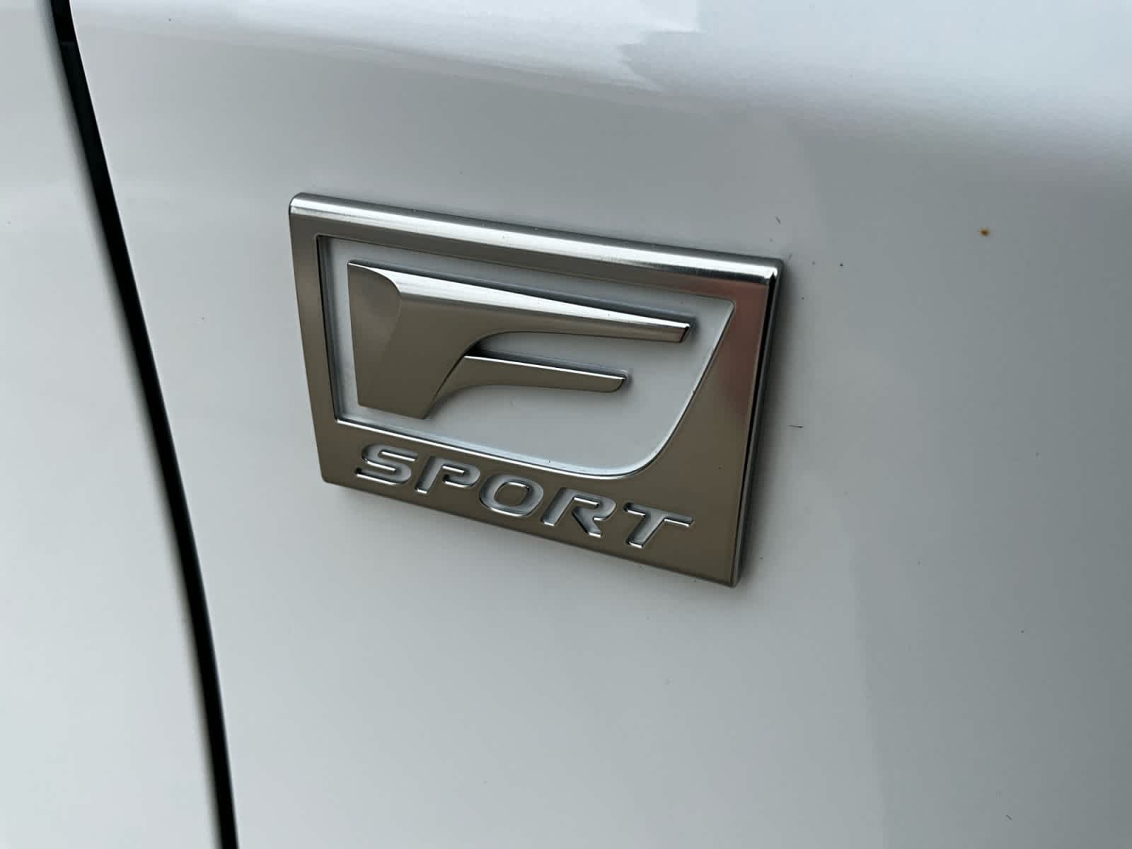 2021 Lexus RX F SPORT Appearance