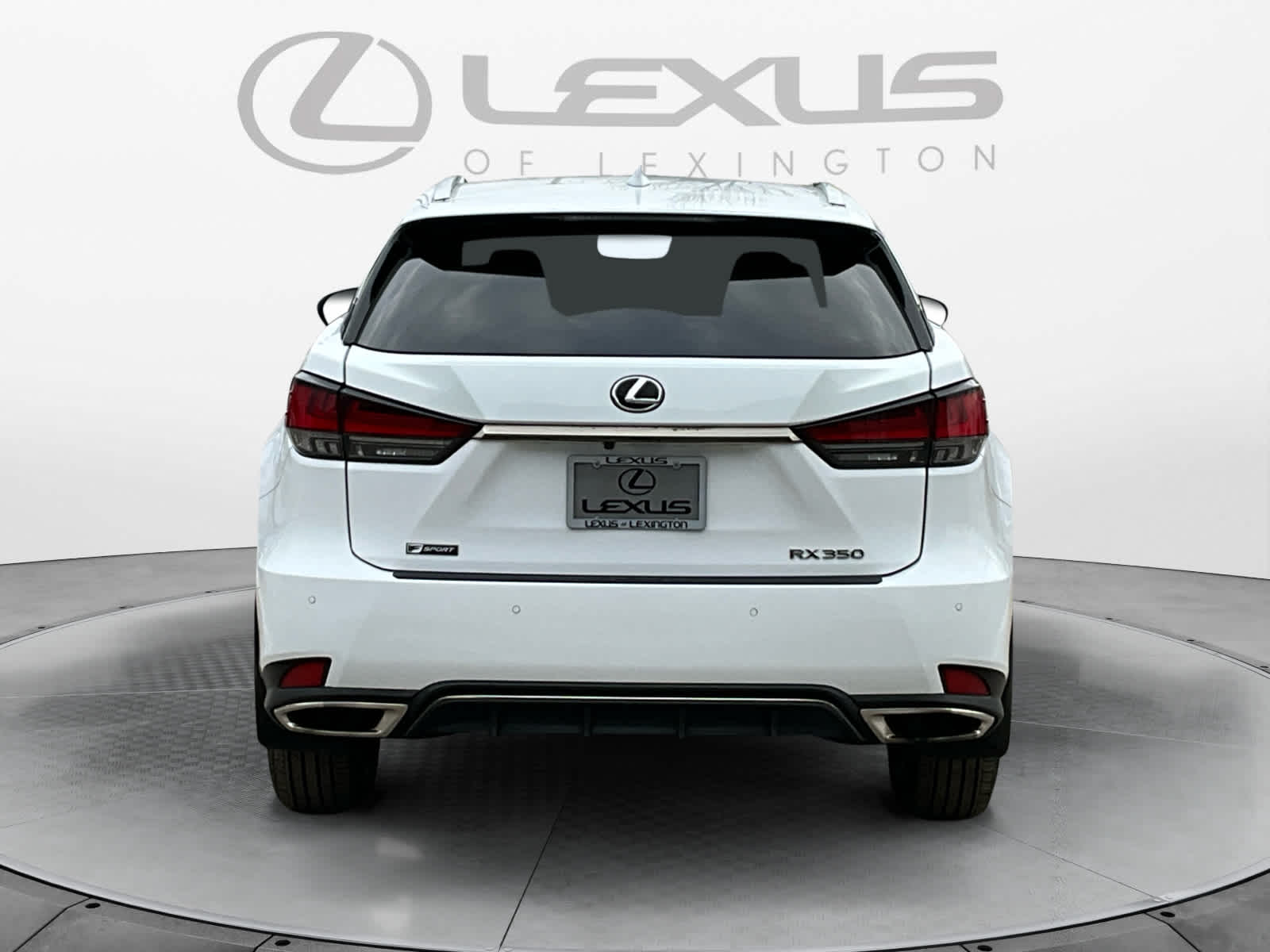 2021 Lexus RX F SPORT Appearance