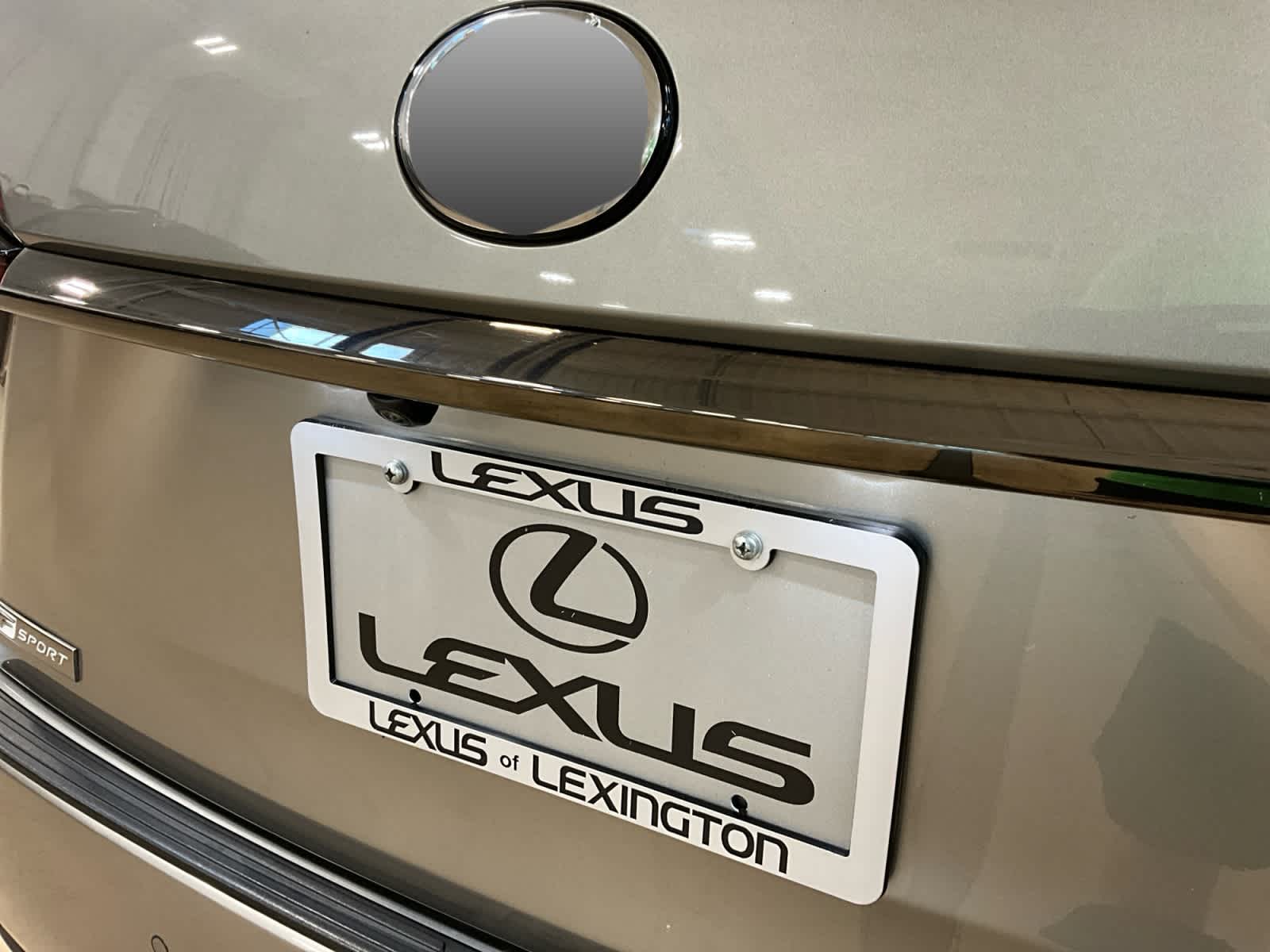 2022 Lexus RX 350 F SPORT Appearance