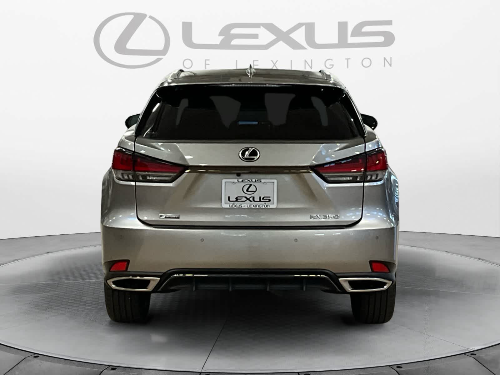 2022 Lexus RX 350 F SPORT Appearance