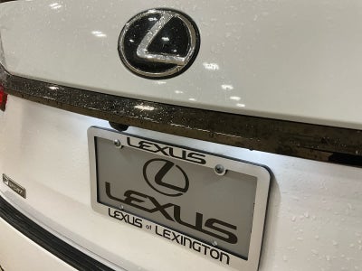 2020 Lexus RX 350 F SPORT Performance