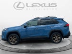 2023 Toyota RAV4 Hybrid Woodland