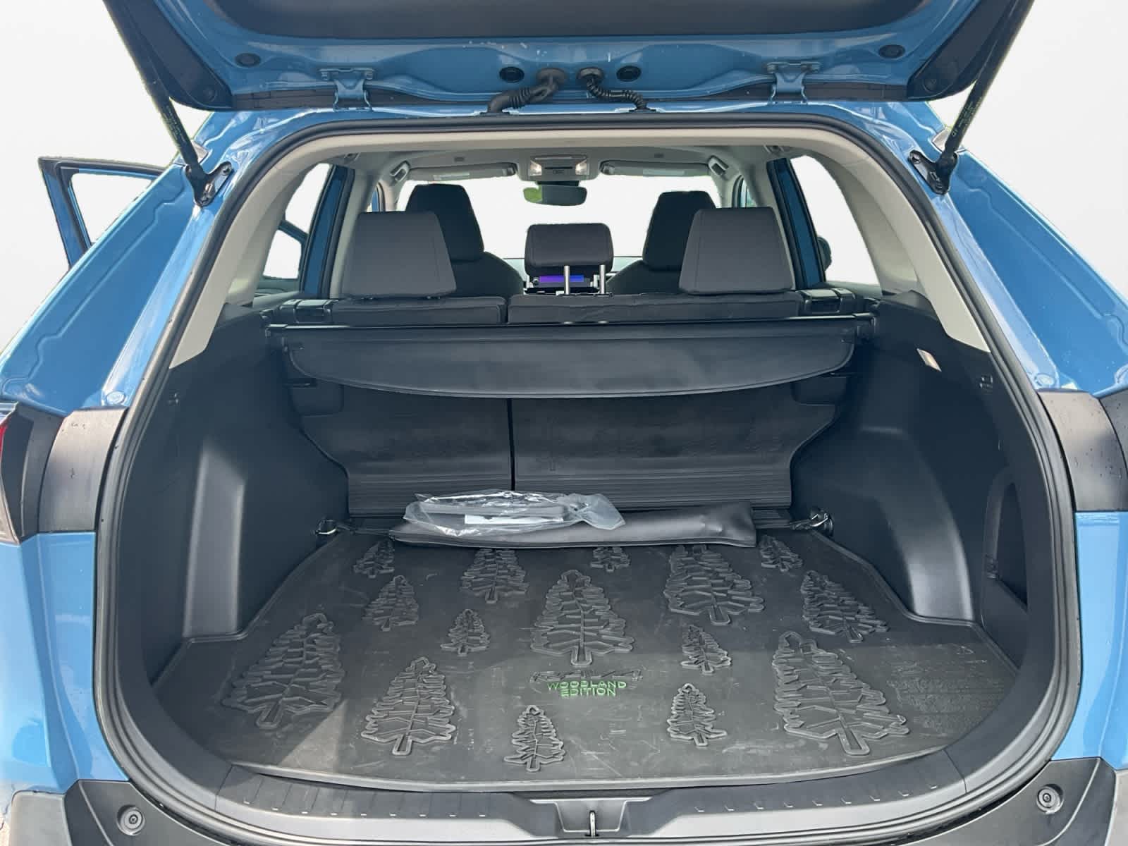 2023 Toyota RAV4 Hybrid Woodland