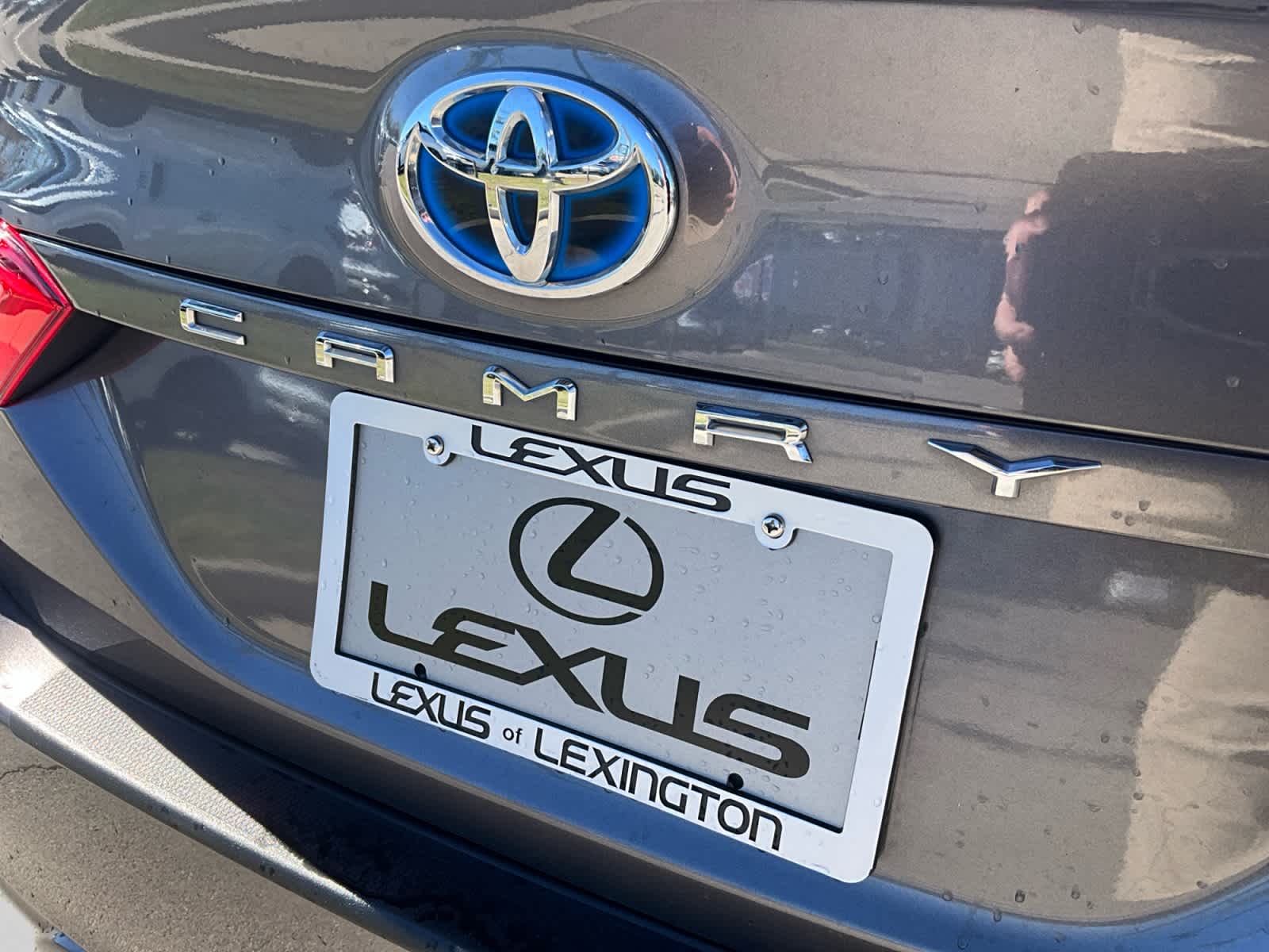 2019 Toyota Camry Hybrid SE