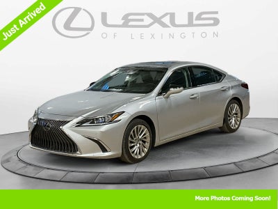 2019 Lexus ES Luxury