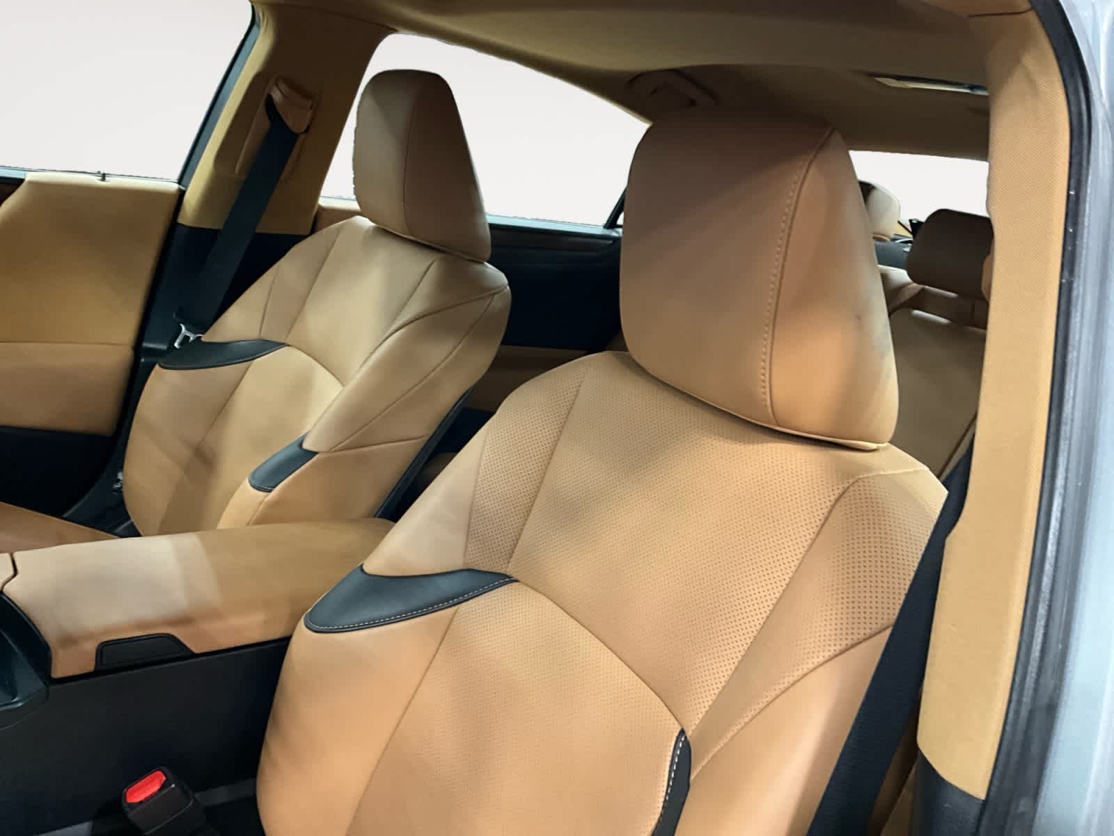 2024 Lexus ES 250 ES 250