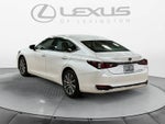 2021 Lexus ES 250 ES 250