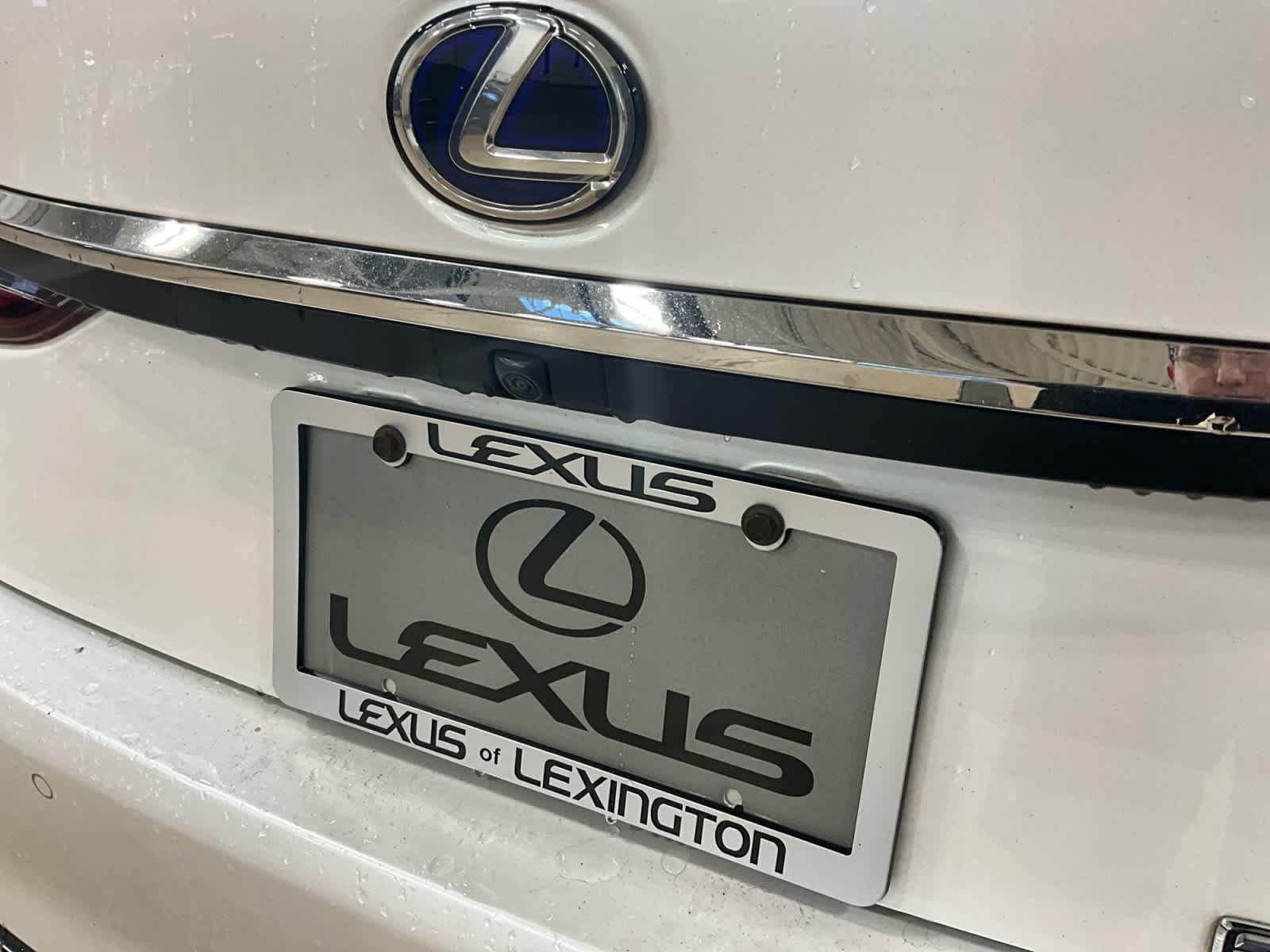 2020 Lexus ES 300h ES 300h