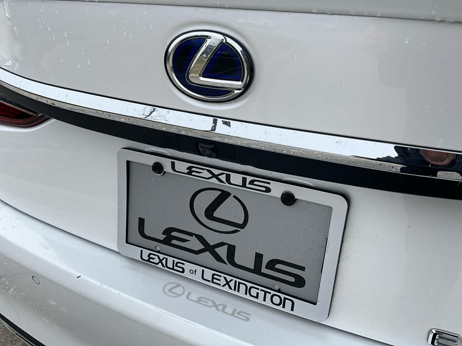 2021 Lexus ES ES 300h