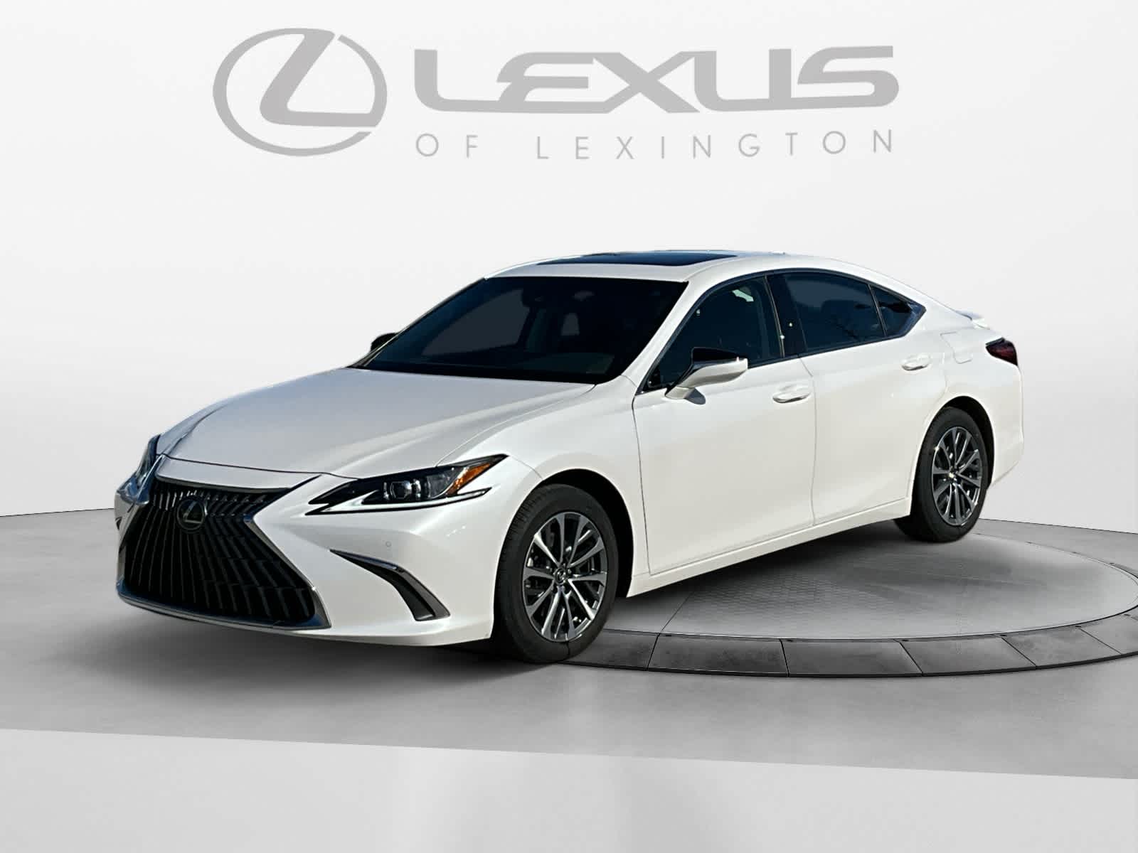 2023 Lexus ES ES 300h