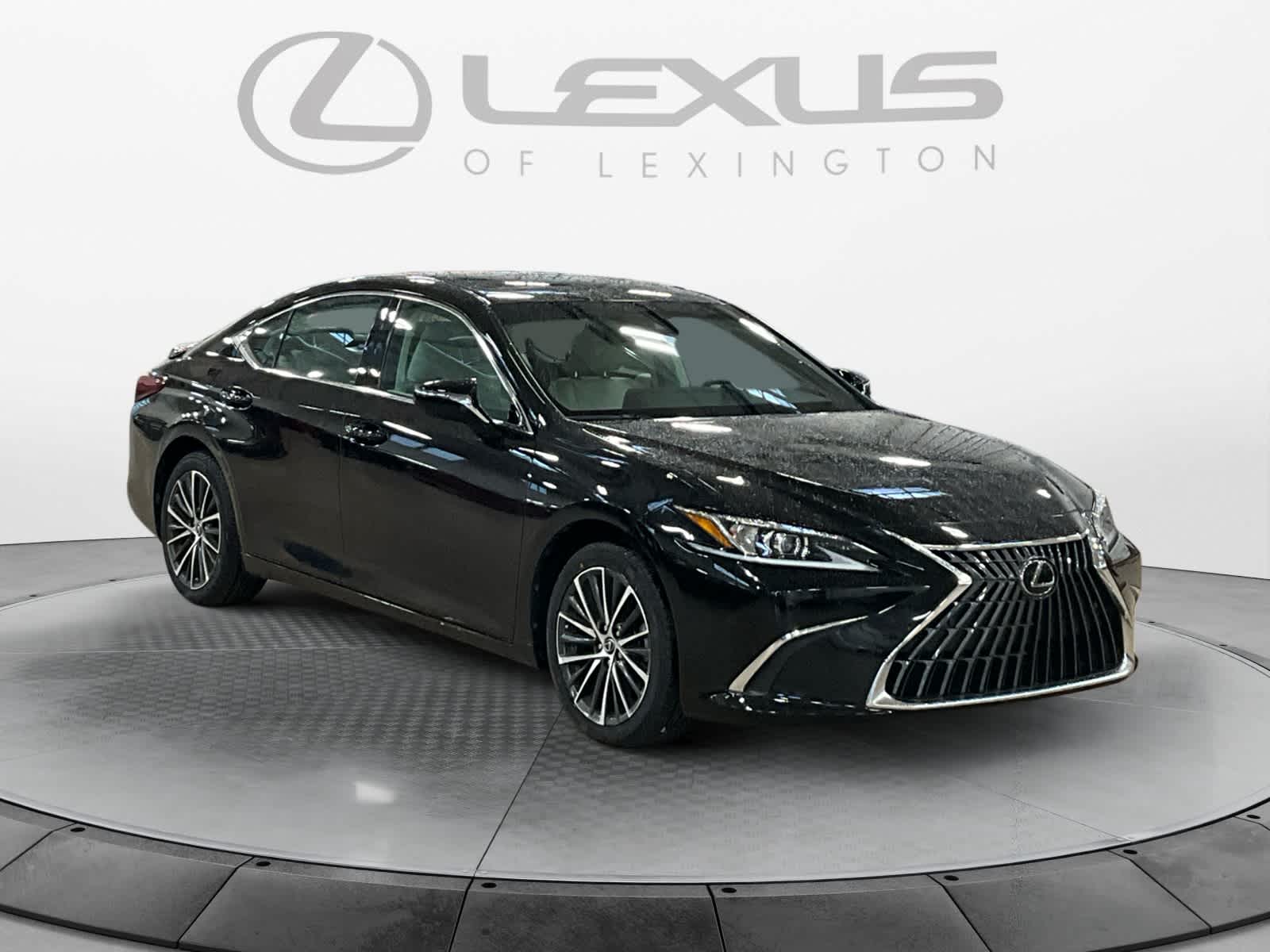 2025 Lexus ES 300h ES 300h