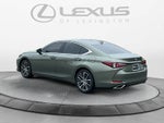 2025 Lexus ES 350 ES 350