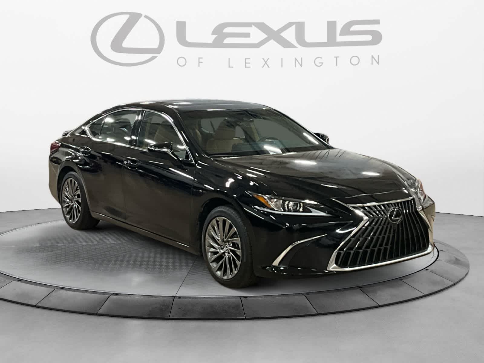 2025 Lexus ES 300h Luxury