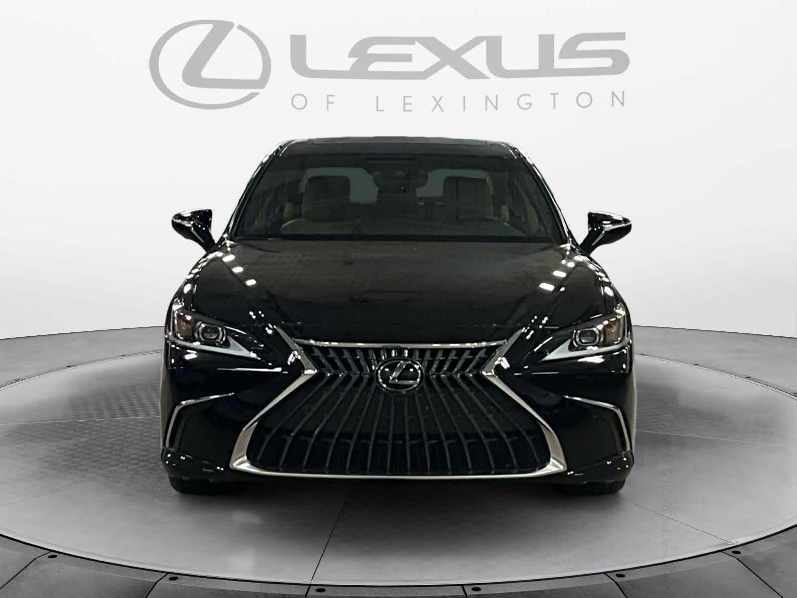 2025 Lexus ES 300h Luxury