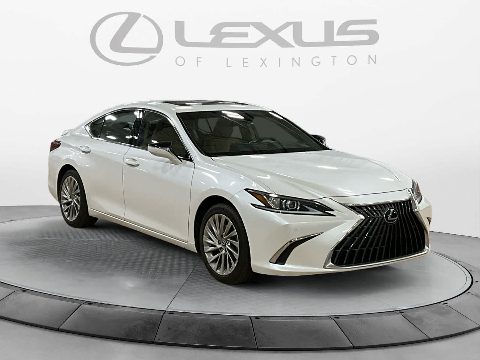 2023 Lexus ES Luxury