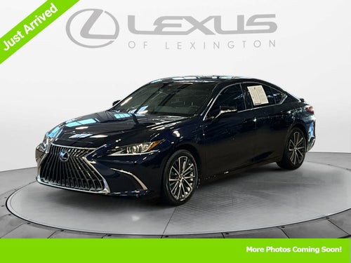 2023 Lexus ES Luxury