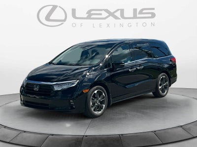2024 Honda Odyssey Elite