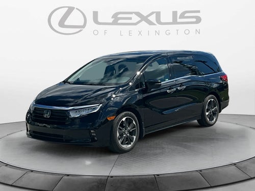 2024 Honda Odyssey Elite