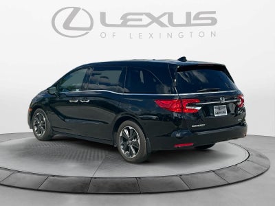 2024 Honda Odyssey Elite