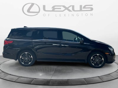 2024 Honda Odyssey Elite