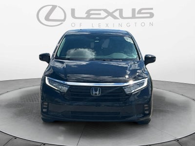 2024 Honda Odyssey Elite