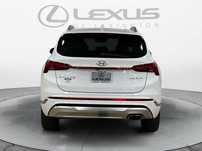 2023 Hyundai Santa Fe Calligraphy