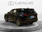2024 Lexus TX Luxury