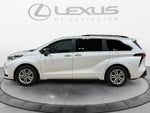 2023 Toyota Sienna XSE 25th Anniversary