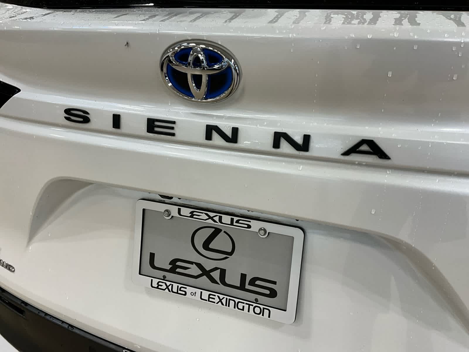 2025 Toyota Sienna XLE