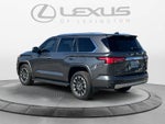 2025 Toyota Sequoia Limited