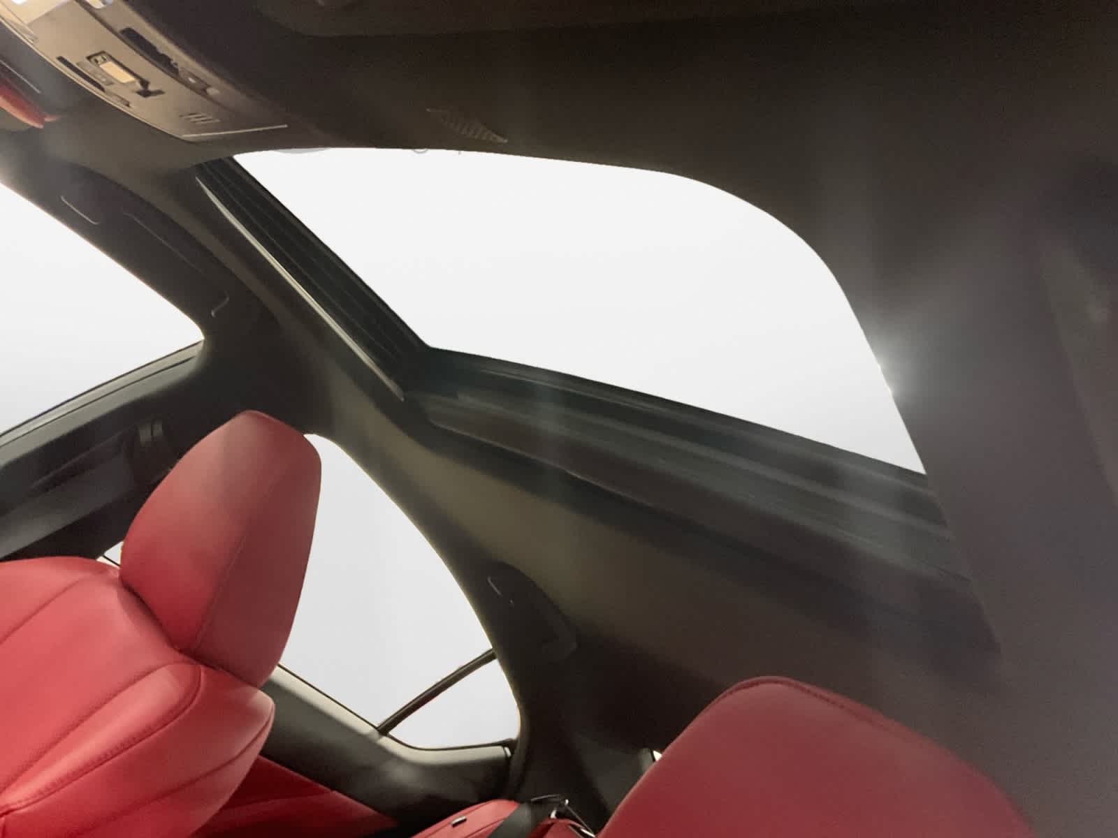 2023 Lexus IS F SPORT