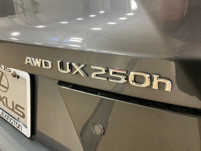 2024 Lexus UX 250h F SPORT Handling