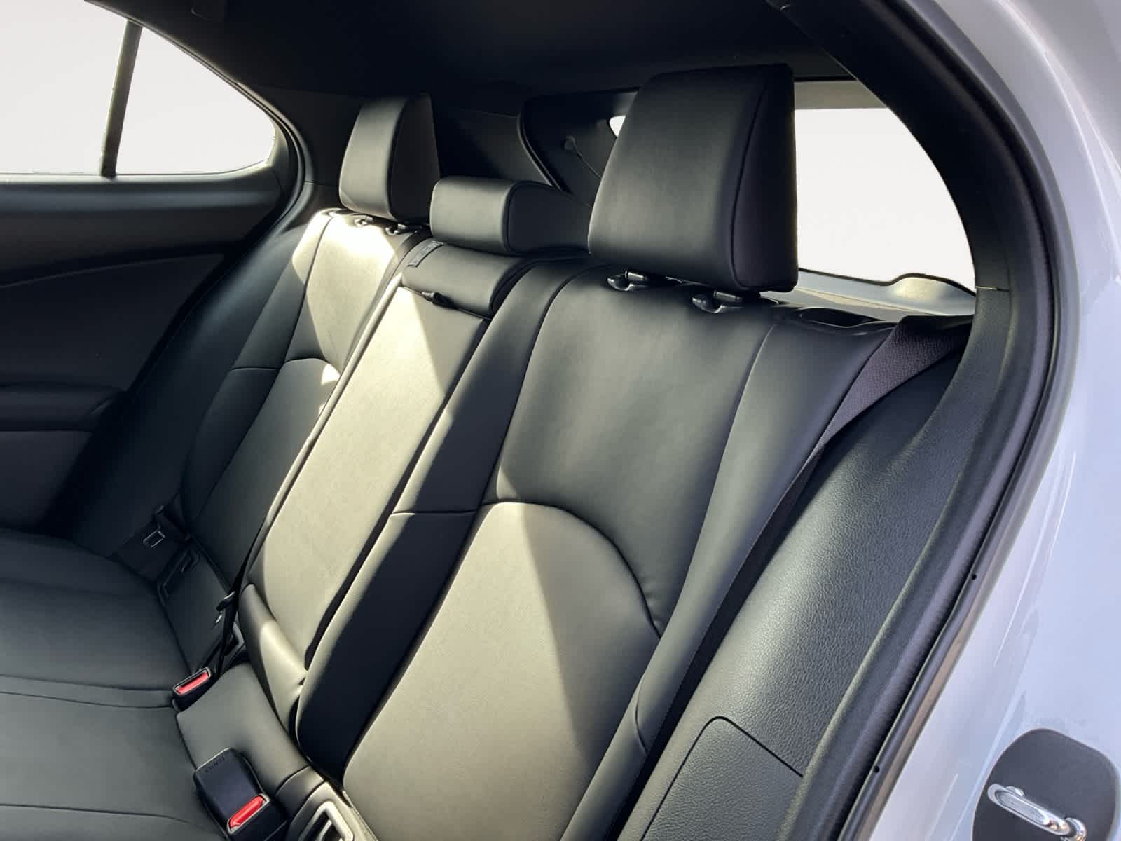 2020 Lexus UX F SPORT