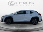 2020 Lexus UX F SPORT