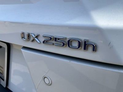 2020 Lexus UX F SPORT