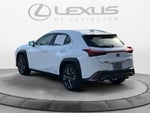 2020 Lexus UX F SPORT