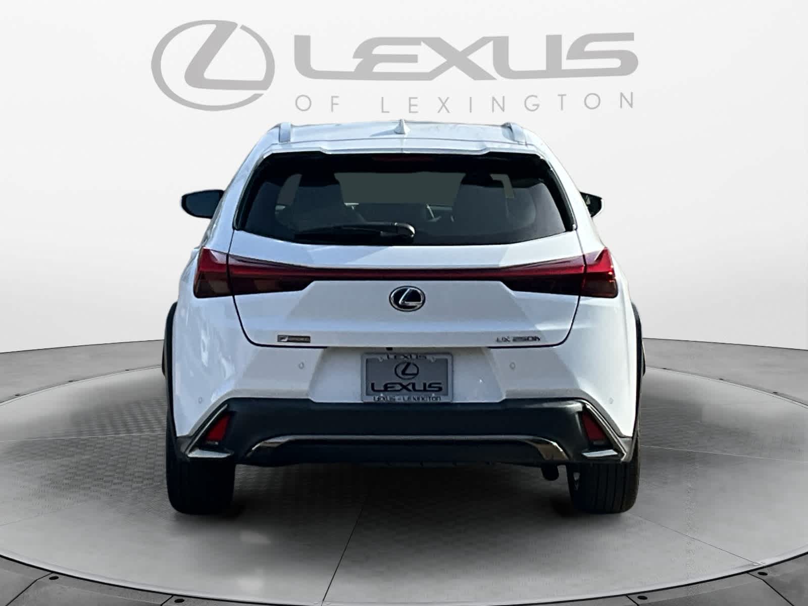 2020 Lexus UX F SPORT