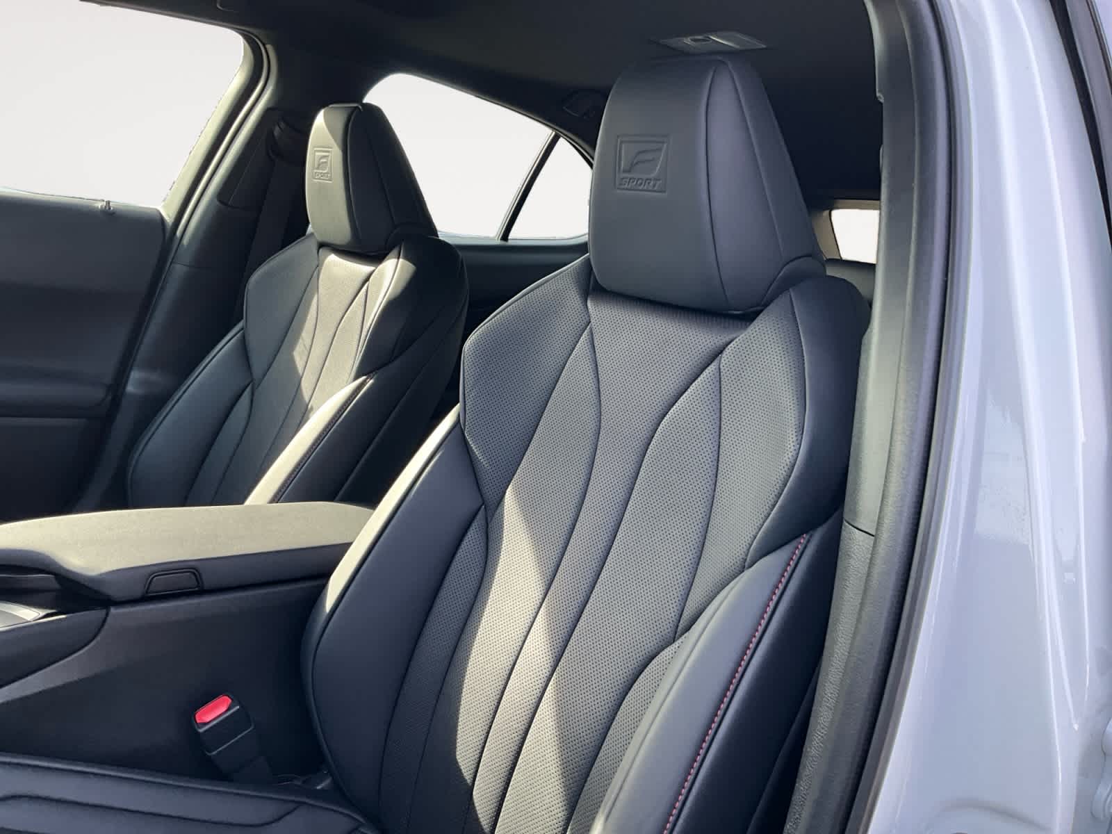 2020 Lexus UX F SPORT