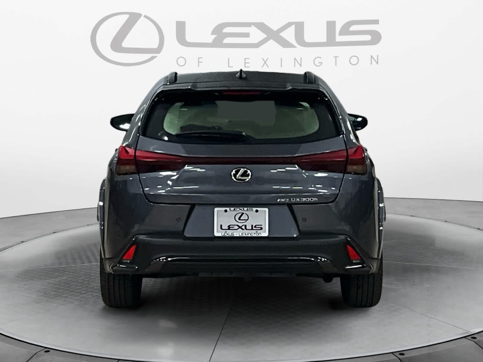 2025 Lexus UX F SPORT Design