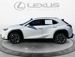2021 Lexus UX UX 200